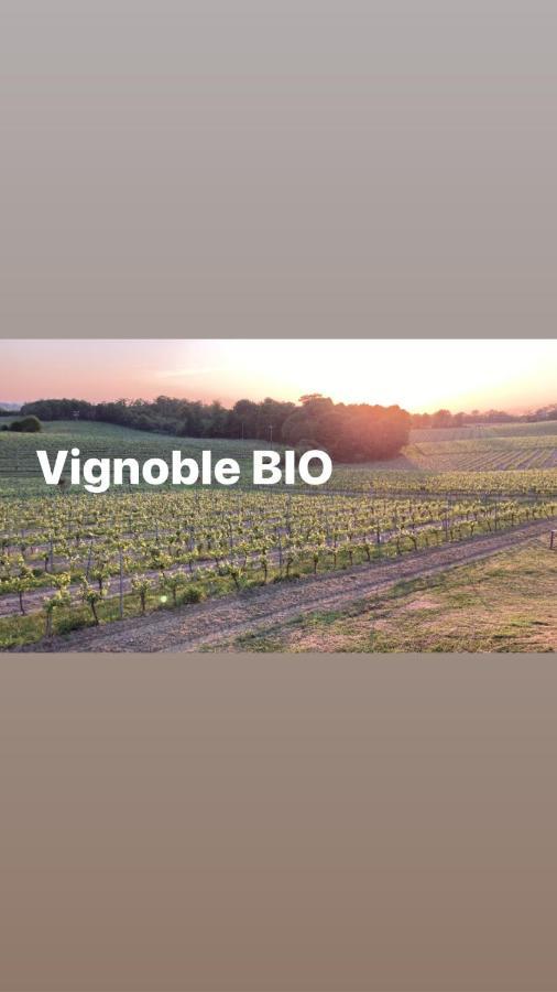 Gite Les Vignes Cravenceres エクステリア 写真